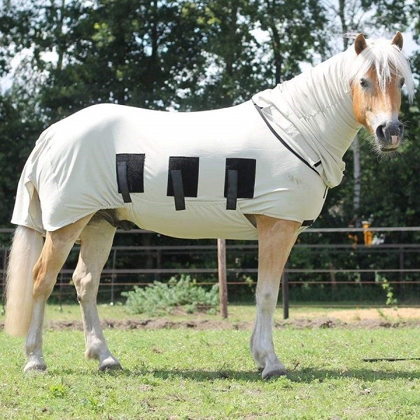 nerveus worden jungle Doornen Snuggy Hoods eczeemdeken voor je paard, inclusief halsstuk. | Atorka.nl