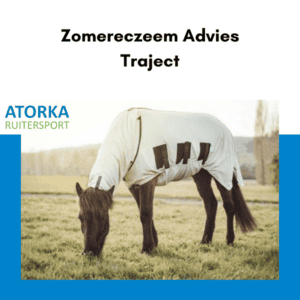 Zomereczeem Advies Traject