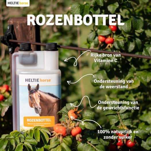 Rozenbottel geven aan je paard voor betere weerstand