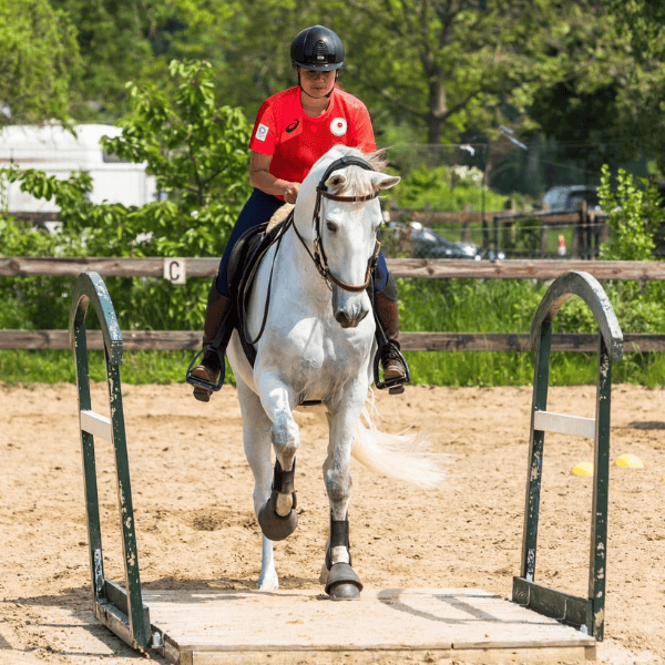 TREC rijden met je paard of pony